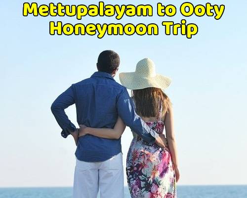 Mettupalayam to Ooty Tour Package (Honeymoon Trip)